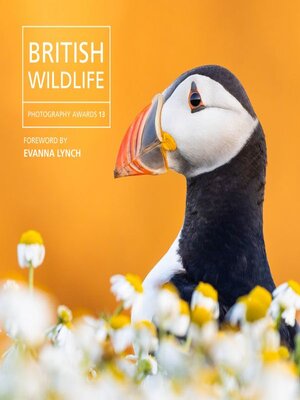 cover image of British Wildlife Photography Awards 13
